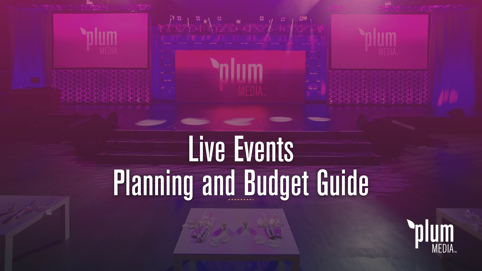  DOWNLOAD Live Event Budget And Planning Guide